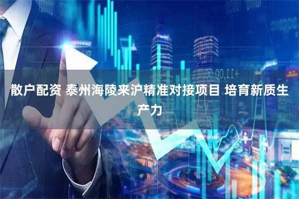 散户配资 泰州海陵来沪精准对接项目 培育新质生产力
