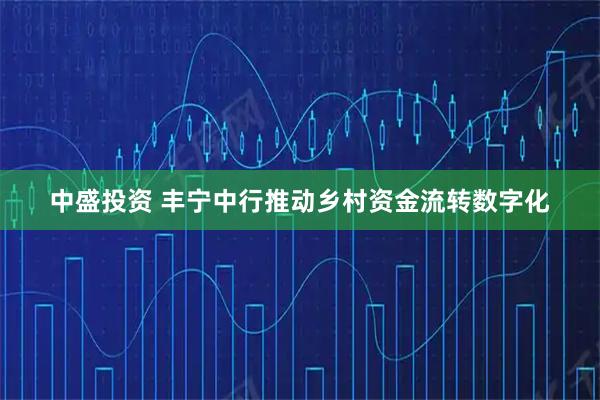 中盛投资 丰宁中行推动乡村资金流转数字化