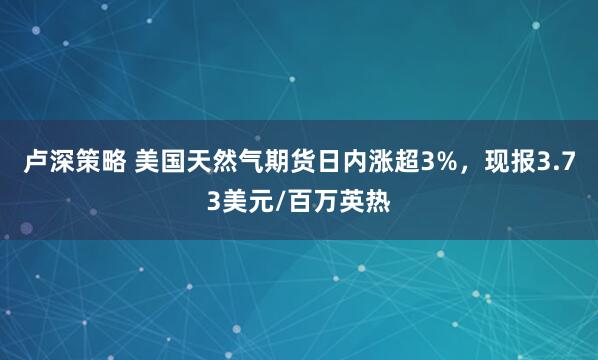 卢深策略 美国天然气期货日内涨超3%，现报3.73美元/百万英热