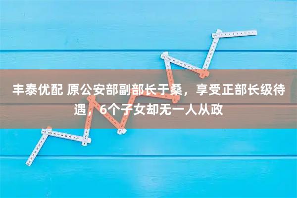 丰泰优配 原公安部副部长于桑，享受正部长级待遇，6个子女却无一人从政