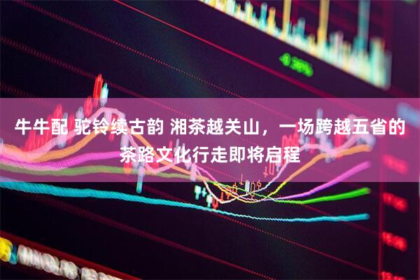 牛牛配 驼铃续古韵 湘茶越关山，一场跨越五省的茶路文化行走即将启程